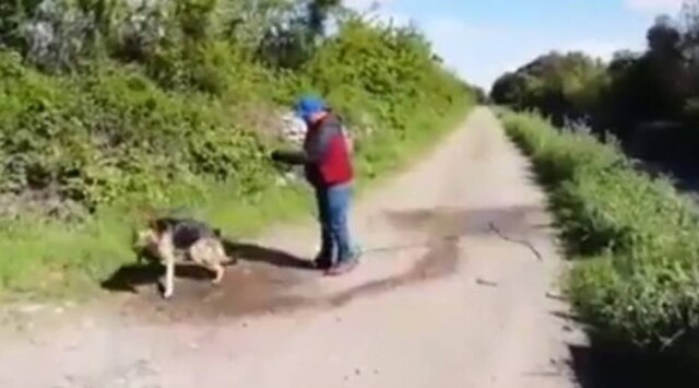 Intagram/@tvmaule Gustavo Rojas Aravena, que salvou o cãozinho que caiu em canal no Chile.