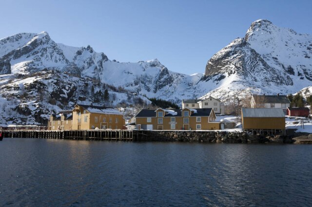 Afinal O Que E Bacalhau Fomos Ate A Noruega Descobrir Paladar Estadao All reviews for bacalhau à gomes de sá. afinal o que e bacalhau fomos ate a