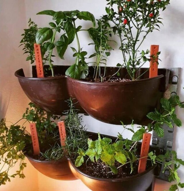 Ecotelhado Para cultivar hortas verticais, opte por recipientes específicos para este fim
