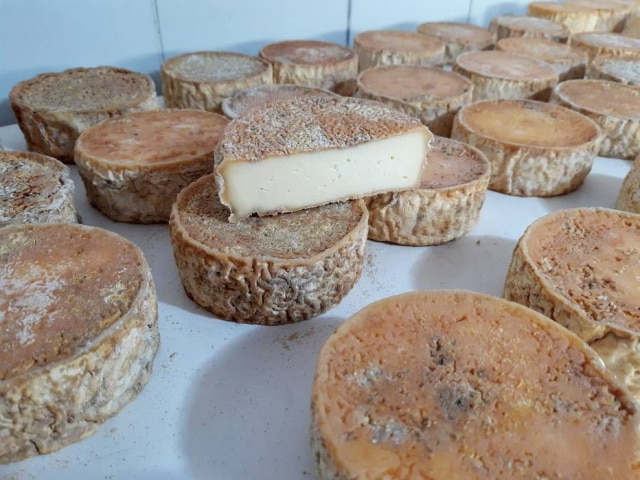 Acervo pessoal Queijo Quilombo na cachaça do produtor Ivacy